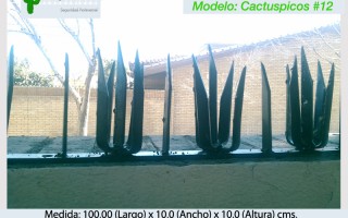 Cactuspicos12