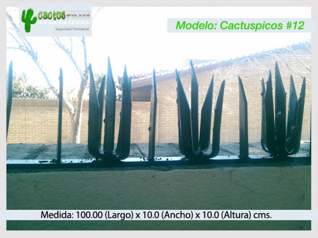 Cactuspicos12