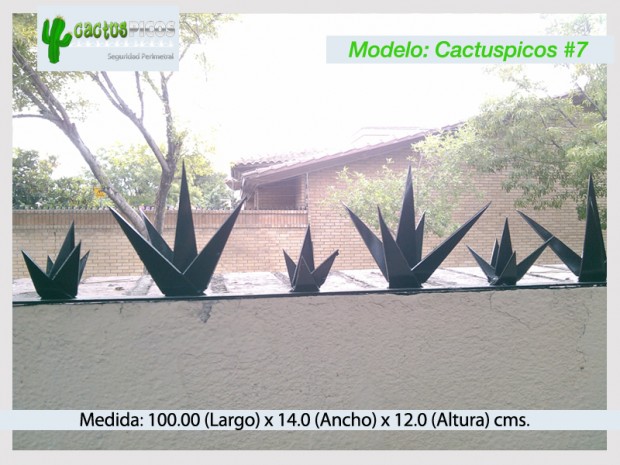 Cactuspicos7